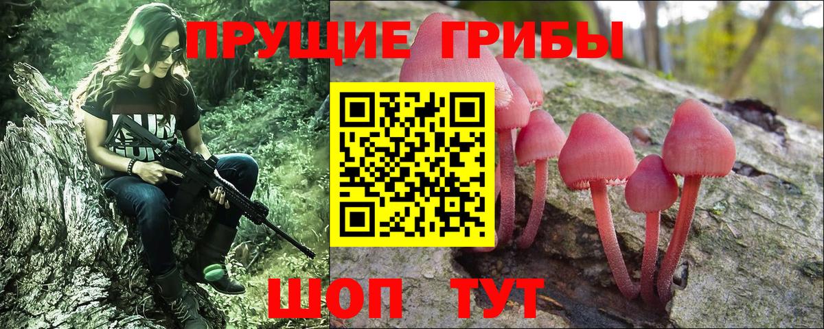 Псилоцибиновые грибы прущие грибы Волжский